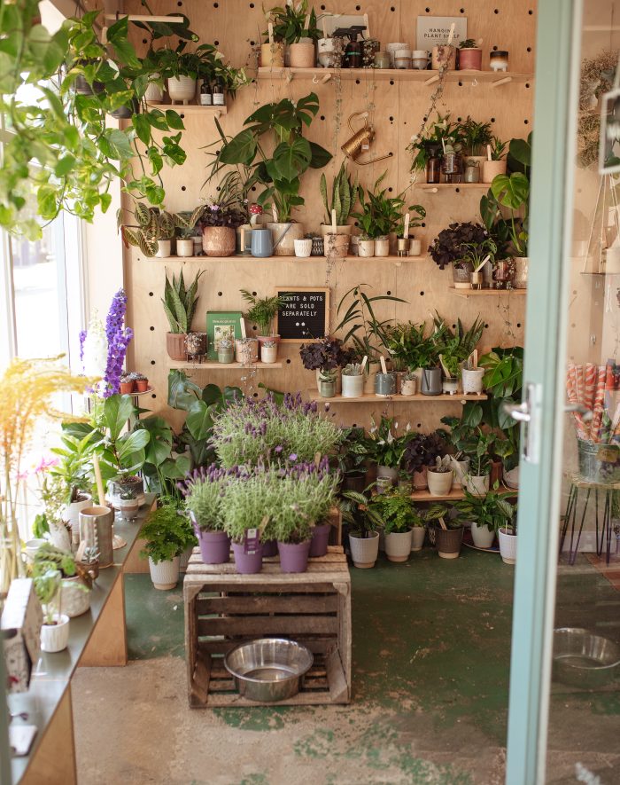 The Flower Project_Branding Session-4